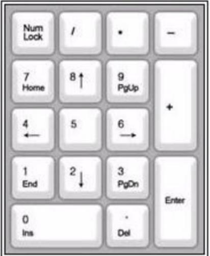 ȷʹụ̈